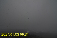 Img20240103_093140.jpg