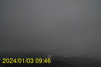 Img20240103_094640.jpg