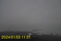 Img20240103_113140.jpg
