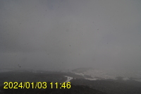 Img20240103_114640.jpg