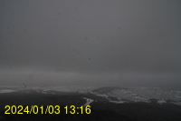 Img20240103_131641.jpg