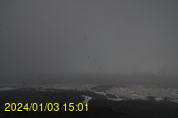 Img20240103_150141.jpg