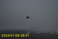 Img20240108_080155.jpg