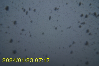 Img20240123_071730.jpg
