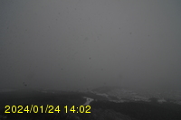 Img20240124_140233.jpg