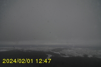 Img20240201_124753.jpg