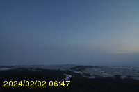 Img20240202_064754.jpg