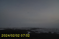 Img20240202_070254.jpg