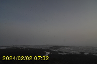 Img20240202_073254.jpg