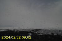 Img20240202_090254.jpg