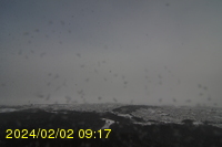 Img20240202_091754.jpg