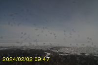 Img20240202_094754.jpg