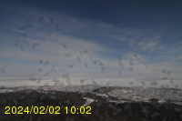 Img20240202_100254.jpg