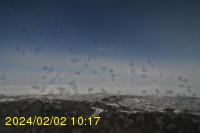 Img20240202_101754.jpg