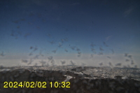Img20240202_103254.jpg