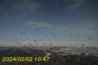 Img20240202_104754.jpg