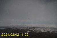 Img20240202_110254.jpg