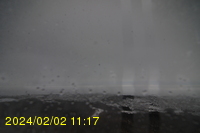 Img20240202_111754.jpg
