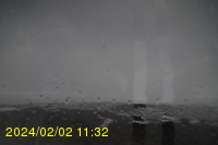 Img20240202_113254.jpg