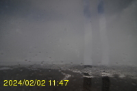 Img20240202_114754.jpg
