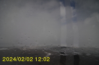 Img20240202_120254.jpg