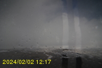 Img20240202_121755.jpg