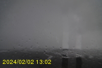 Img20240202_130255.jpg