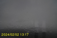 Img20240202_131755.jpg