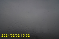 Img20240202_133255.jpg