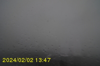 Img20240202_134755.jpg