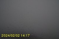 Img20240202_141755.jpg