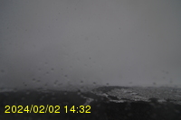 Img20240202_143255.jpg