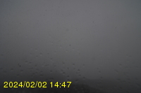 Img20240202_144755.jpg