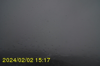 Img20240202_151755.jpg