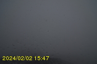Img20240202_154755.jpg
