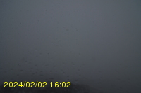 Img20240202_160255.jpg