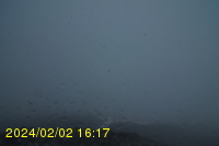 Img20240202_161755.jpg