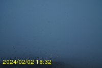 Img20240202_163255.jpg