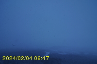 Img20240204_064758.jpg