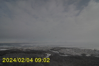 Img20240204_090259.jpg
