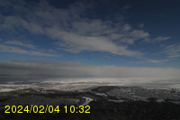 Img20240204_103259.jpg