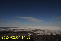 Img20240204_140259.jpg