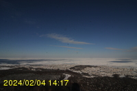 Img20240204_141759.jpg