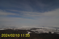 Img20240210_113314.jpg