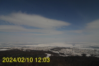 Img20240210_120314.jpg