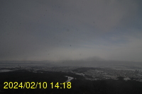 Img20240210_141815.jpg