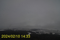 Img20240210_143315.jpg
