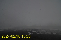 Img20240210_150315.jpg