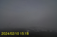 Img20240210_151815.jpg