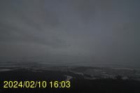 Img20240210_160315.jpg